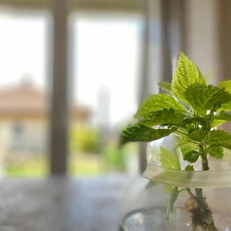 Apartmenthaus Luett Meer Ludorf Esterno foto